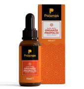 Alkol Bazlı Organik Propolis 40 ml